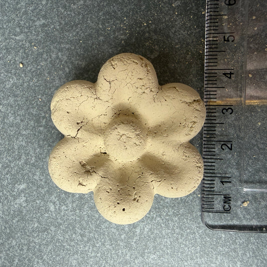 Gelber Ural in Blumenform, Nahaufnahme